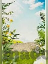 大象融媒宣传视频-探索大象融媒，创意与传播的交响乐章