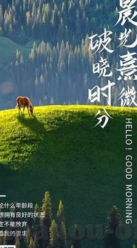 麻豆传煤app安卓下载-麻豆传媒界的移动新风尚——安卓平台上的攻速体验