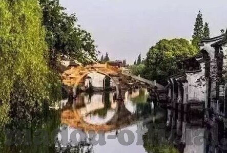 亚洲理论在线a中文字幕-探索亚洲理论在线的多元文化视角，中文字幕下的智慧交流