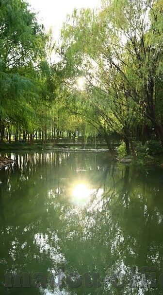 亚洲日本欧美中文字幕视频-亚洲、日本、欧美，文化交汇的视觉盛宴
